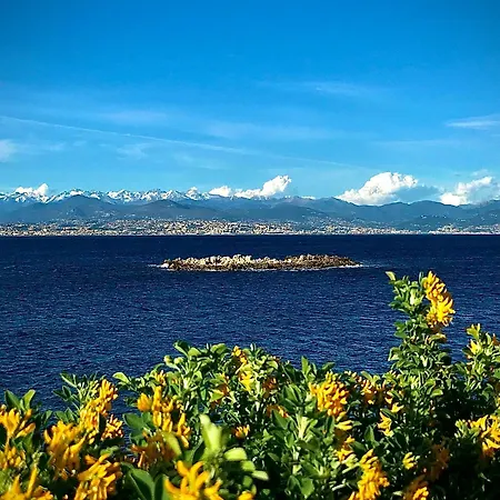 Apartamento Cozy 1 Bedroom Juan-les-pins - Walk To Beaches, Restaurants, Old Town