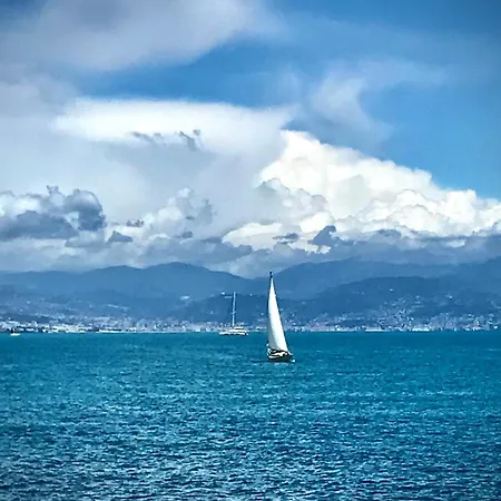 Apartmán Cozy 1 Bedroom Juan-les-pins - Walk To Beaches, Restaurants, Old Town Antibes