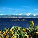 Apartment Cozy 1 Bedroom Juan-les-pins - Walk To Beaches, Restaurants, Old Town