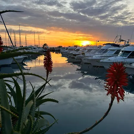 Cozy 1 Bedroom Juan-les-pins - Walk To Beaches, Restaurants, Old Town * Antibes