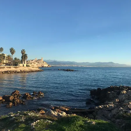 Cozy 1 Bedroom Juan-les-pins - Walk To Beaches, Restaurants, Old Town אנטיב