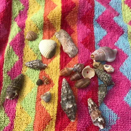 Cozy 1 Bedroom Juan-les-pins - Walk To Beaches, Restaurants, Old Town *