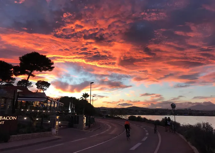 Cozy 1 Bedroom Juan-les-pins - Walk To Beaches, Restaurants, Old Town