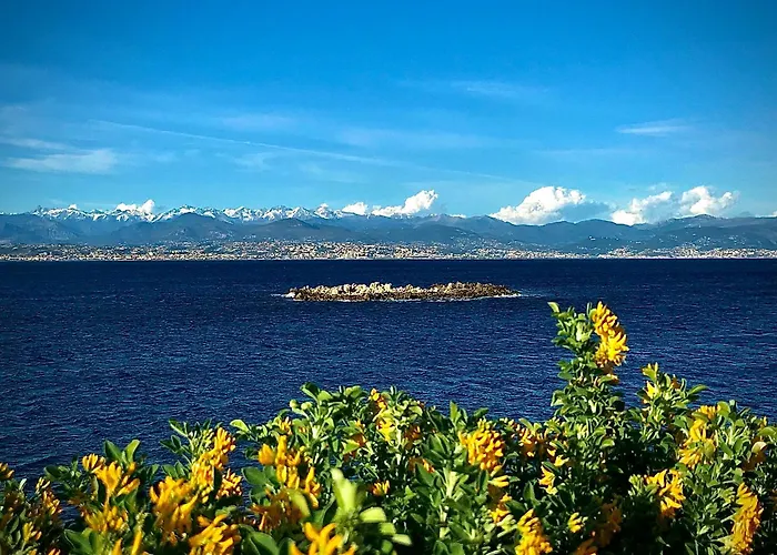 Διαμέρισμα Cozy 1 Bedroom Juan-les-pins - Walk To Beaches, Restaurants, Old Town